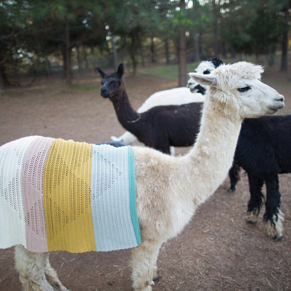 Diamond Sahara Blanket