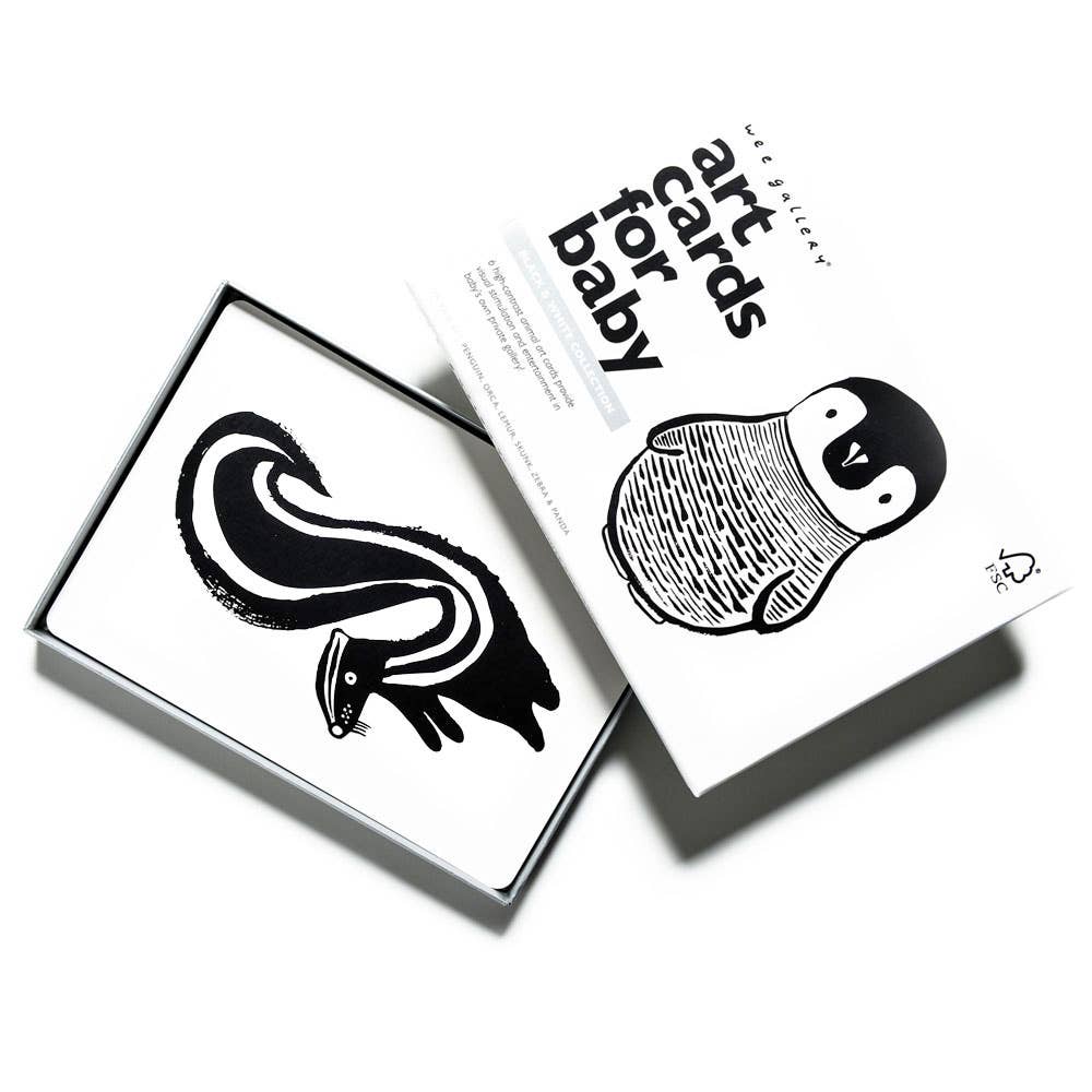 Art Cards for Baby | Black and White
