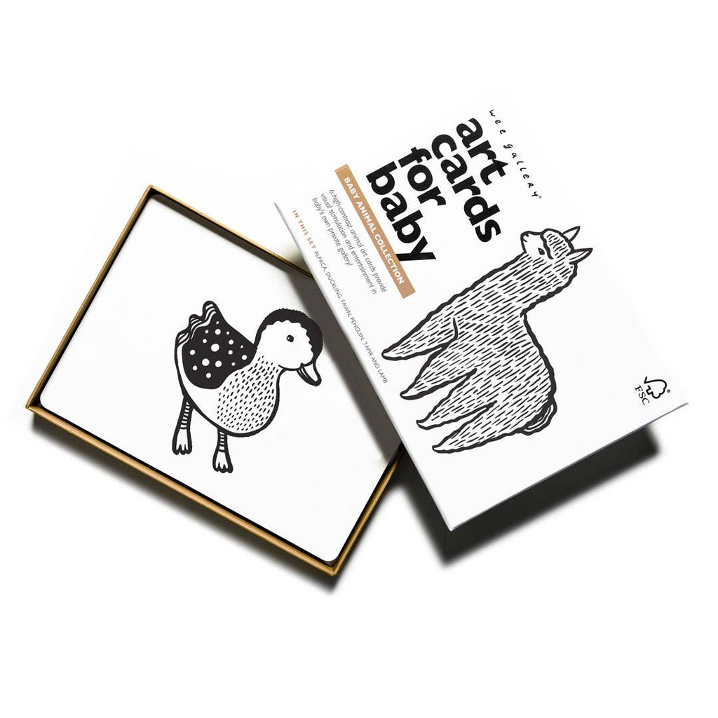 Art Cards for Baby | Baby Animal