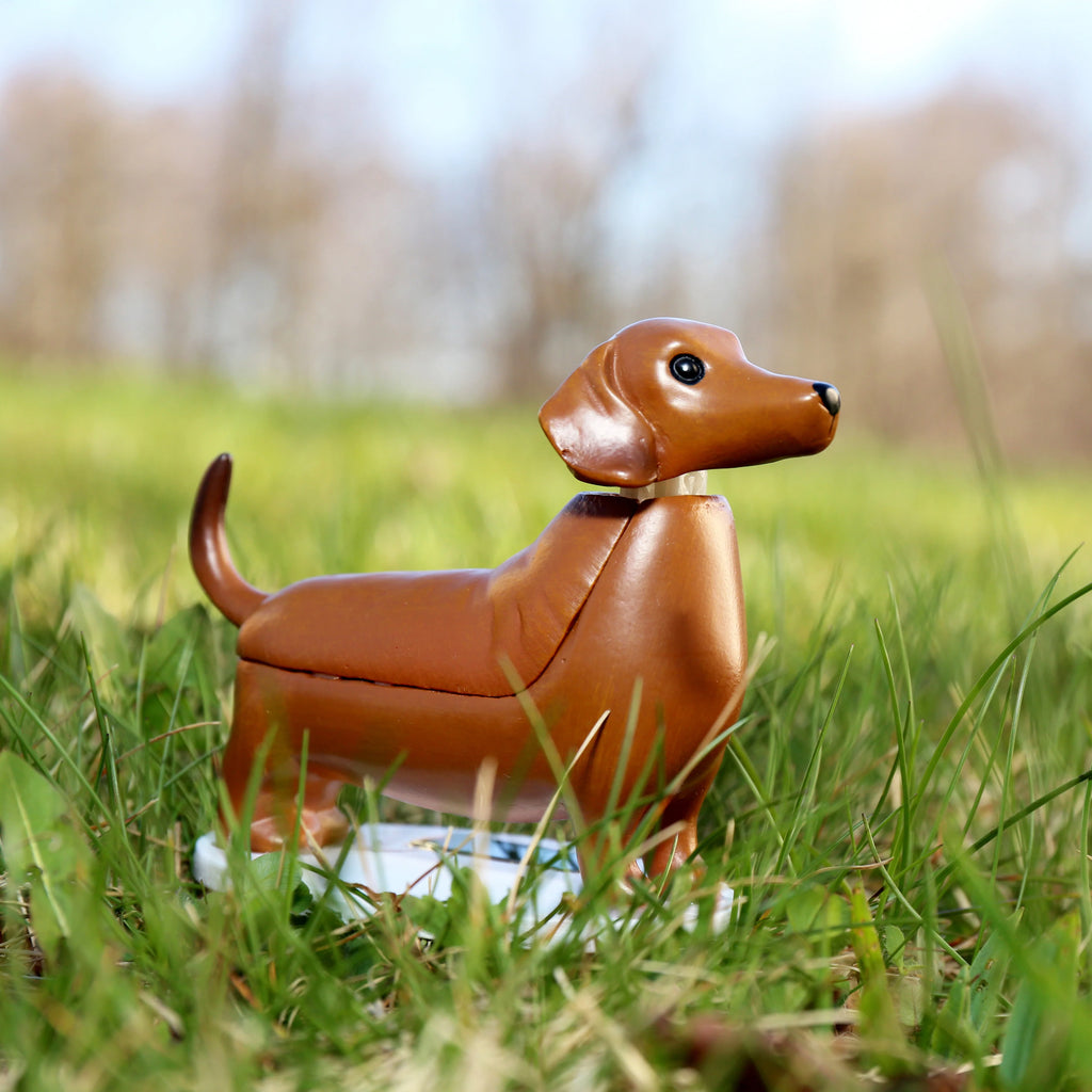 Solar Daschund