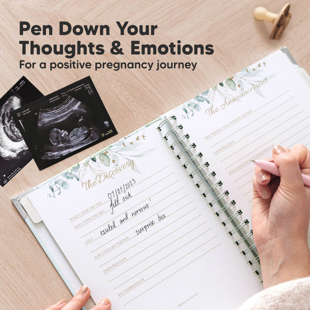 Pregnancy Journal (Frost) KeaBabies Inspire