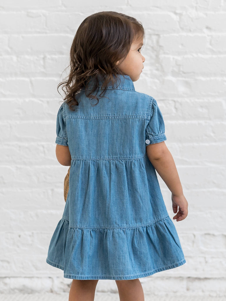 Organic Baby & Kids Pippa Chambray Short Sleeve Shirt Dress: 4T