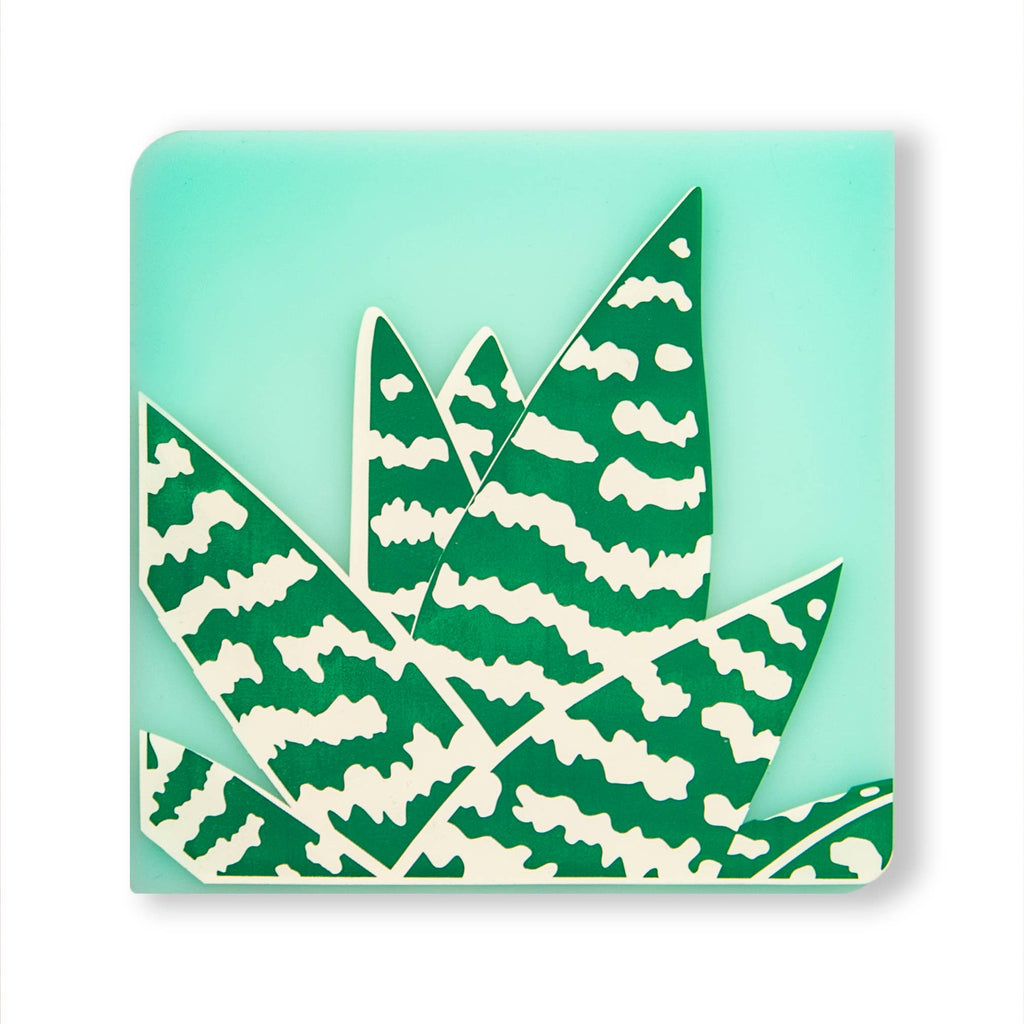 Coasters: Conservatory Set of 4