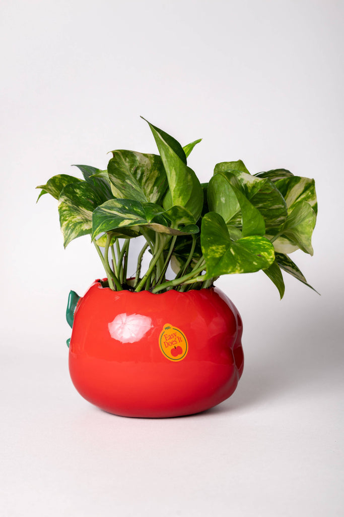 Ceramic Apple Planter