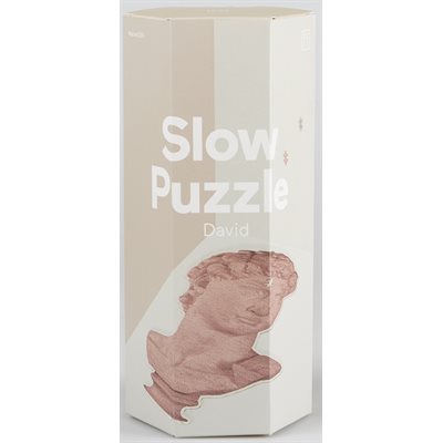 Slow Puzzle David