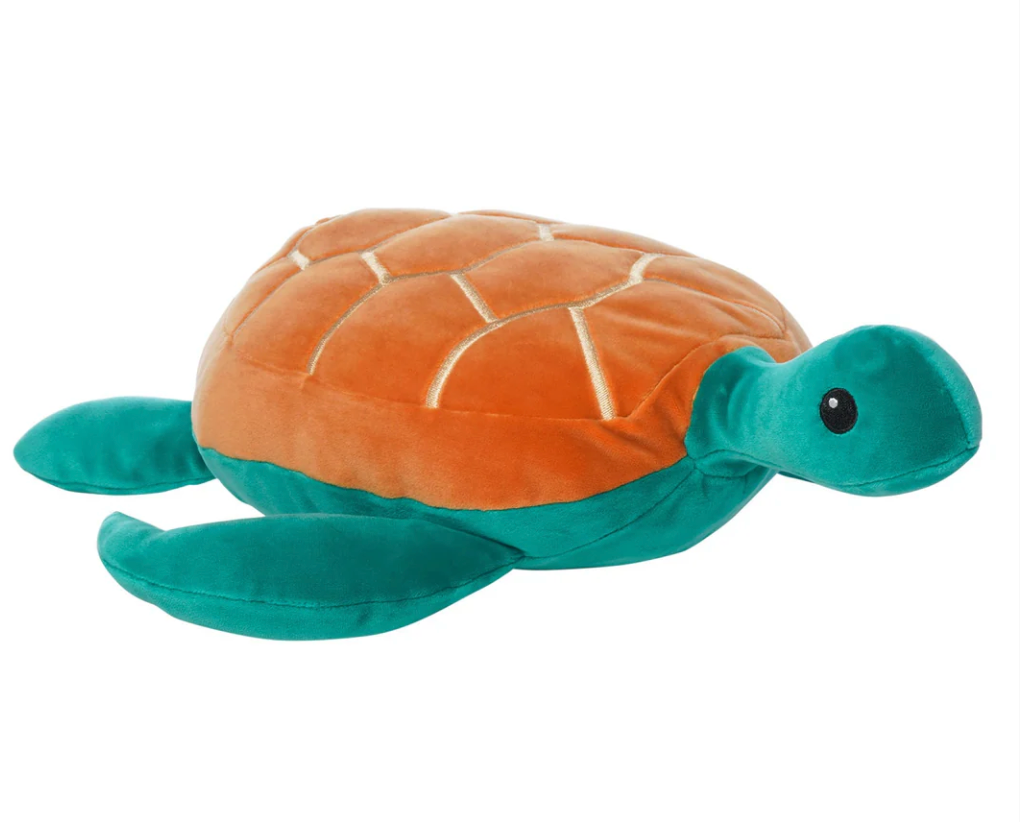 Salty Sea Turtle