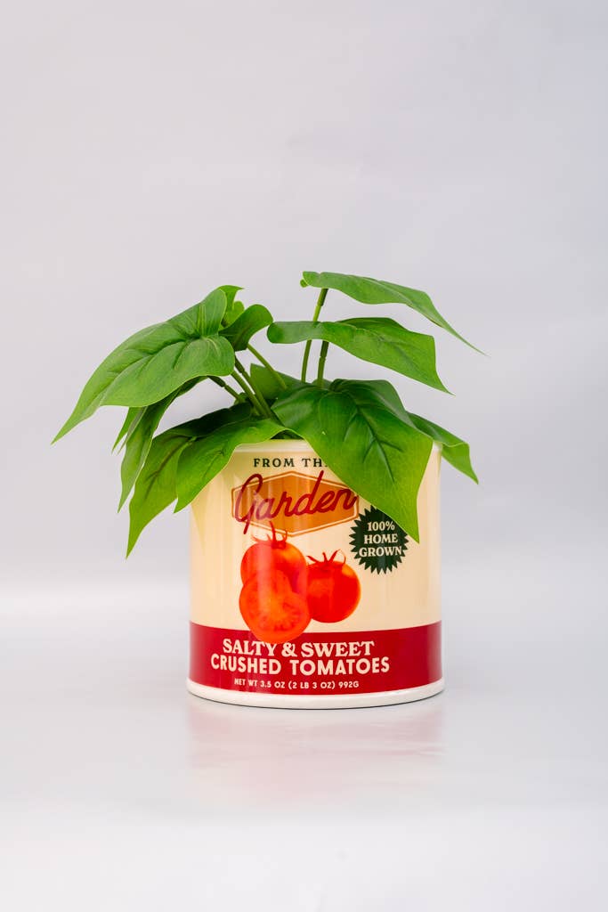 Ceramic Vase, Tomato Can