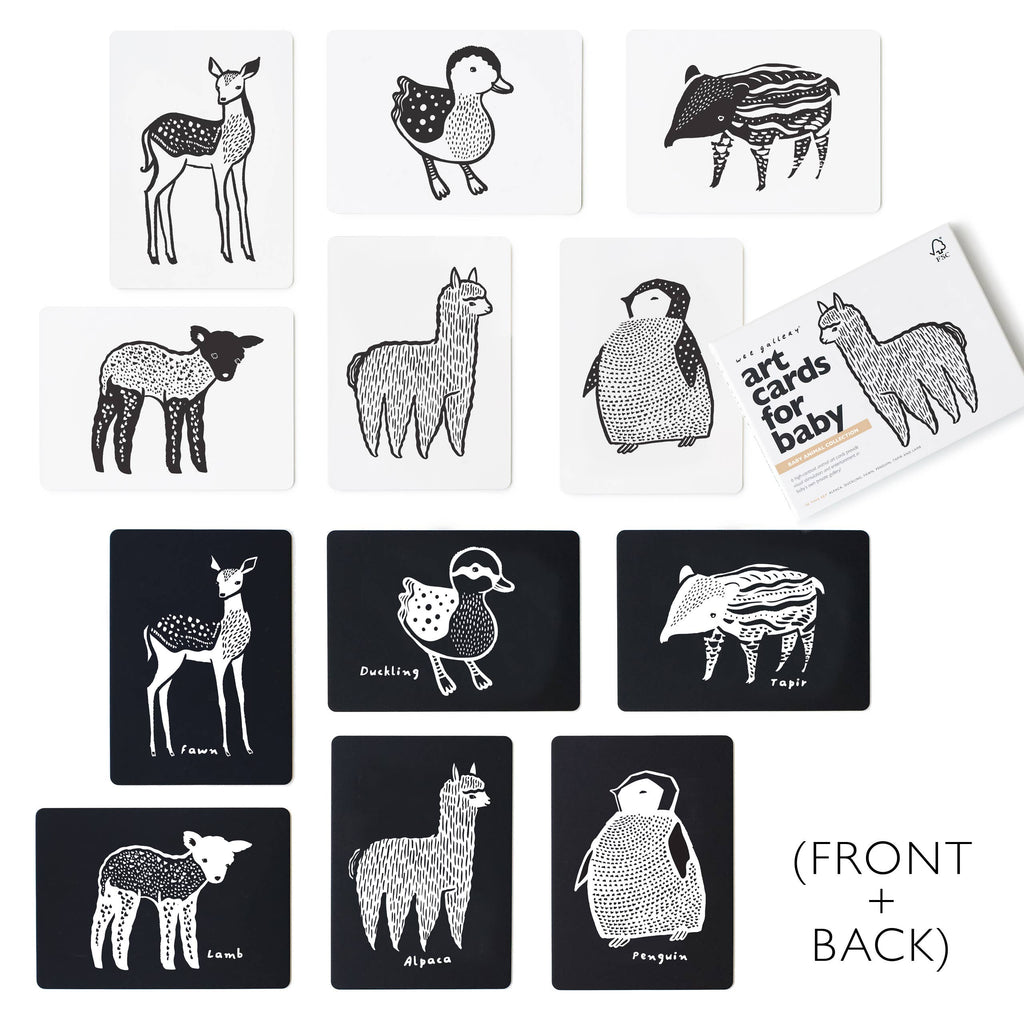 Art Cards for Baby | Baby Animal