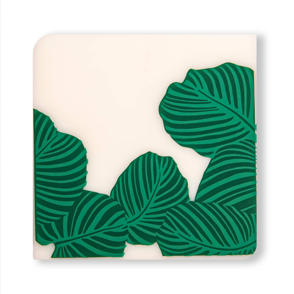 Coasters: Conservatory Set of 4