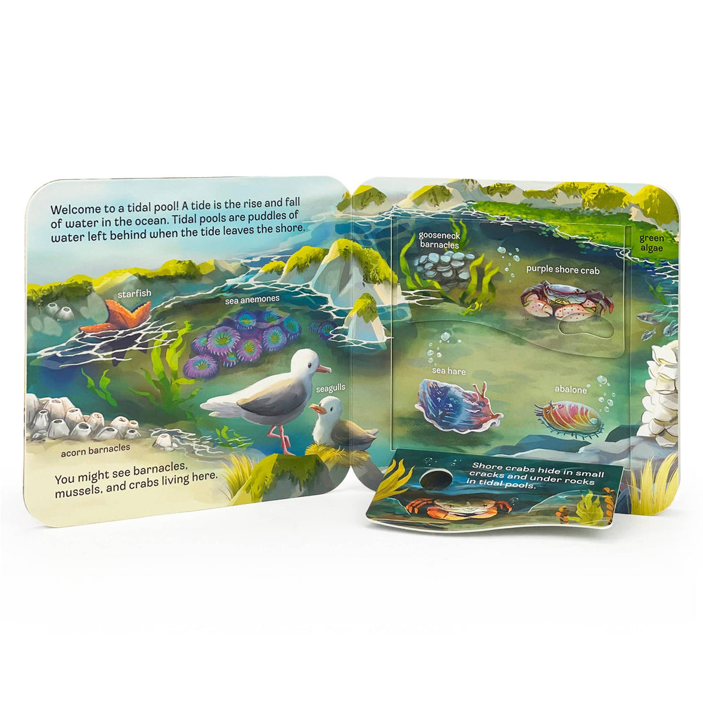 Peek A Flap Ocean