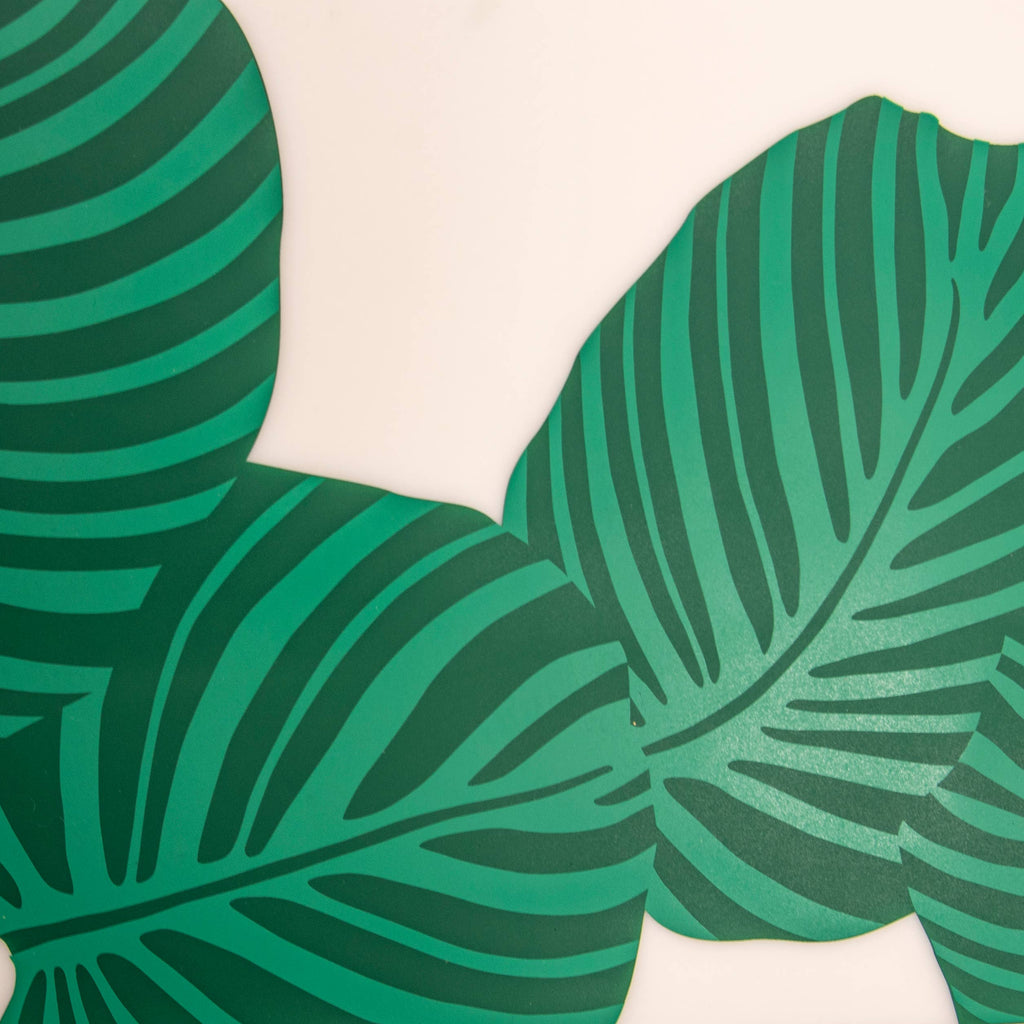 Placemat: Conservatory Calathea Orbifolia