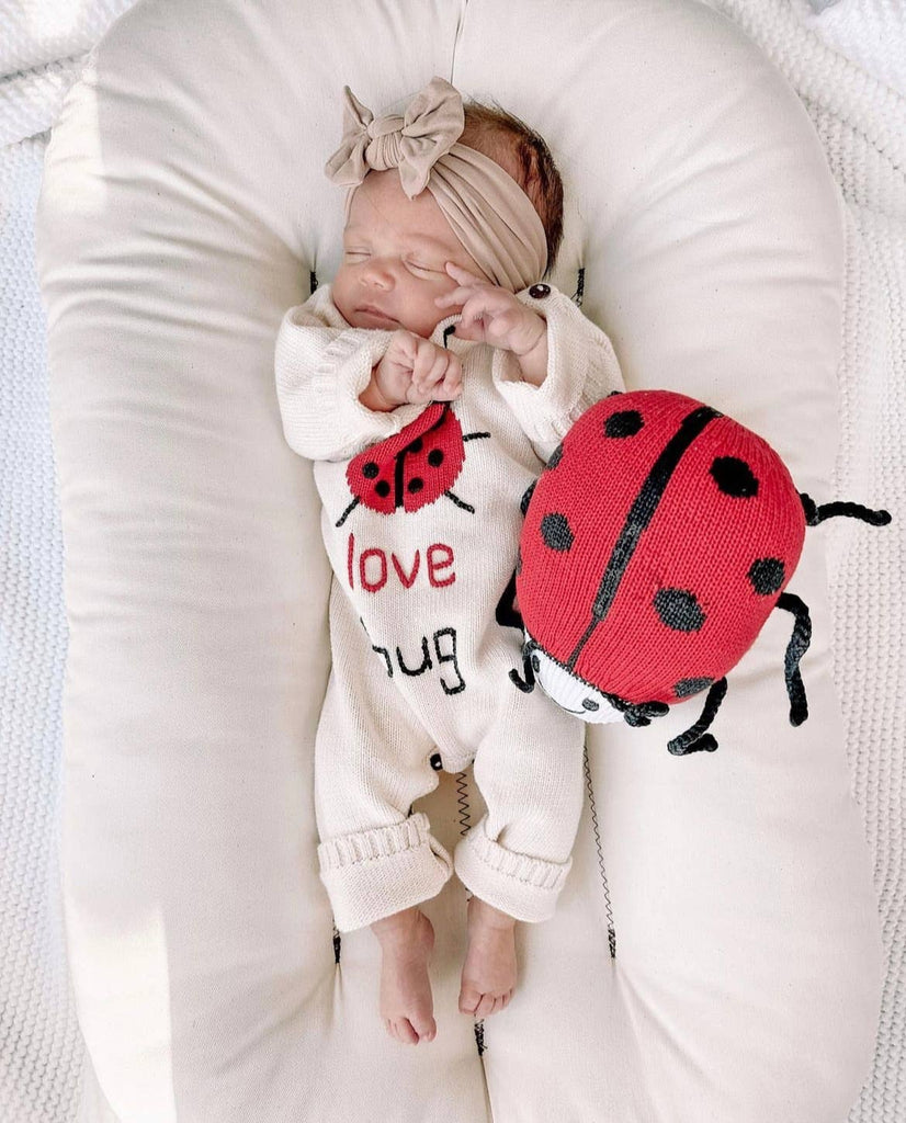 Ladybug Stuffed Toy