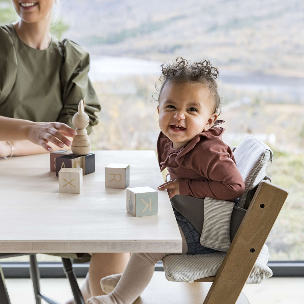 Stokke High Chair Complete