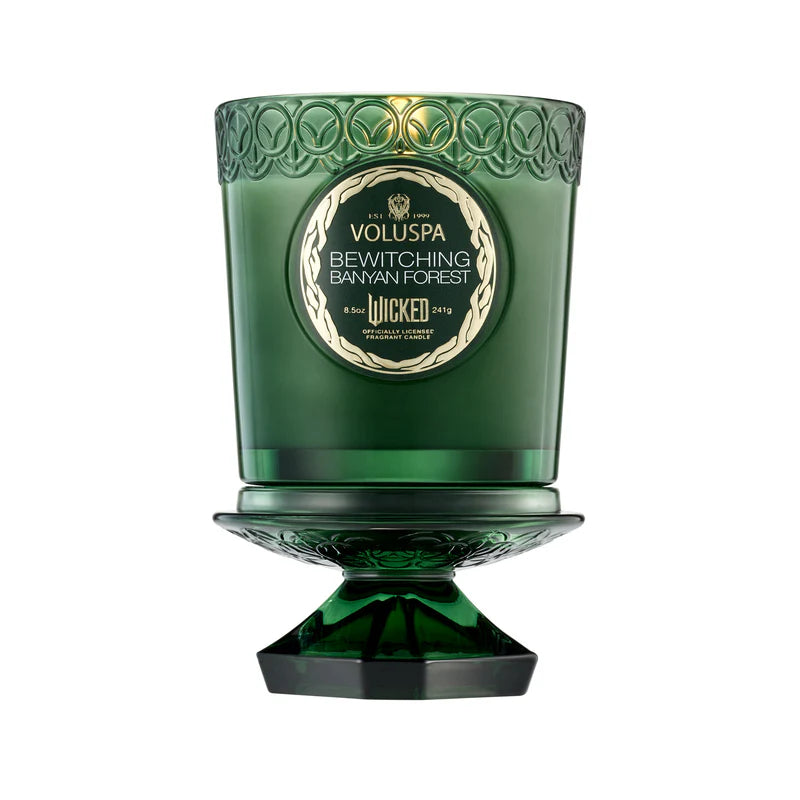 Bewitching Banyan Forest Boxed 8.5oz Candle