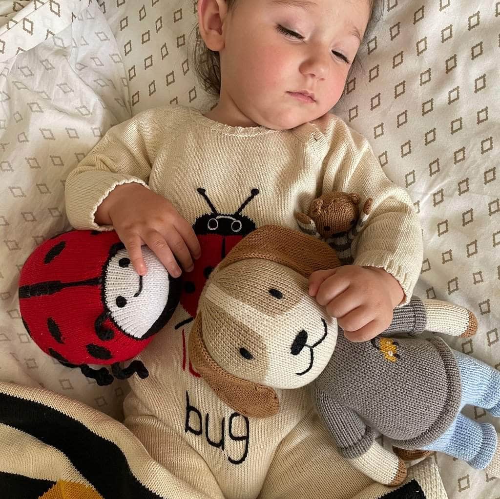 Ladybug Stuffed Toy