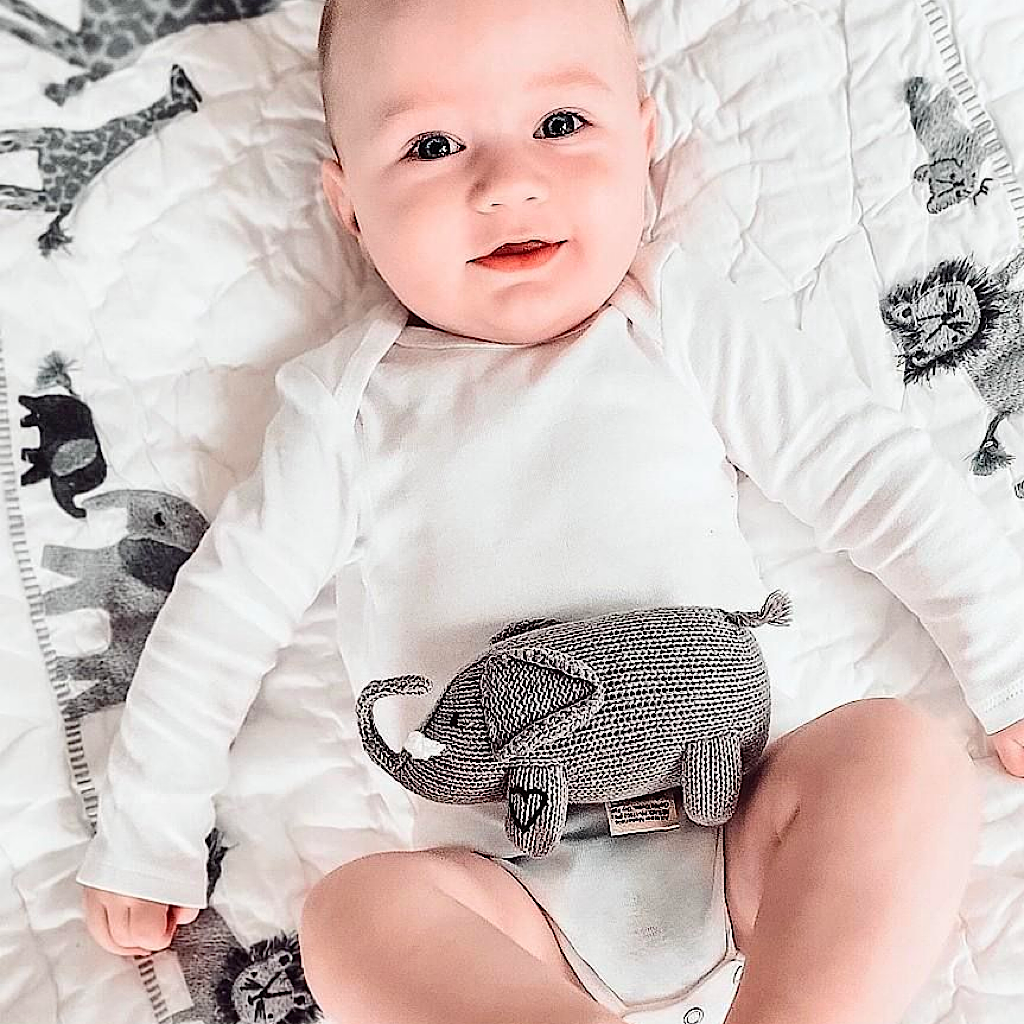 Toni Elephant Rattle