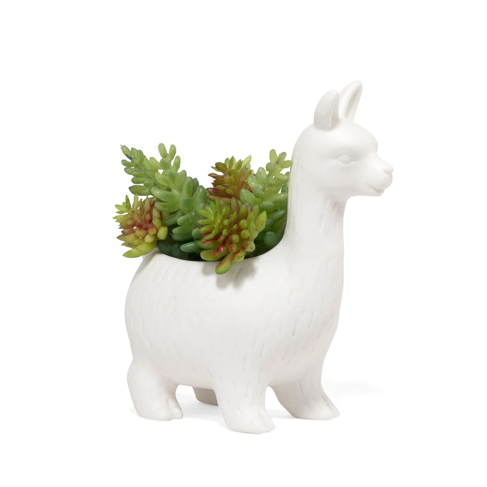 Lloyd The Llama Planter
