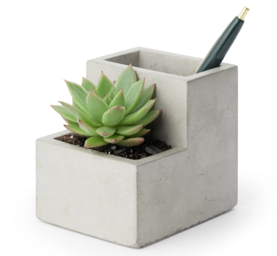 Small Concrete Planter And Pen Holder